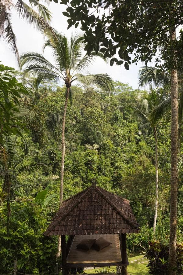 Anahata Resort 12