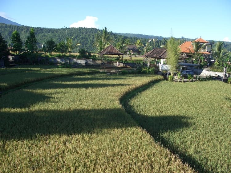 Atres Villa 3