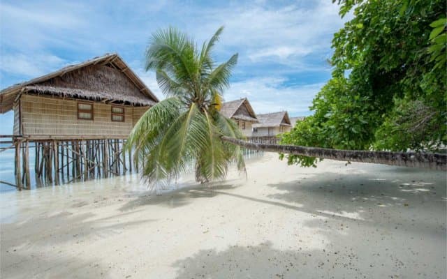 Papua Paradise Eco Resort 35