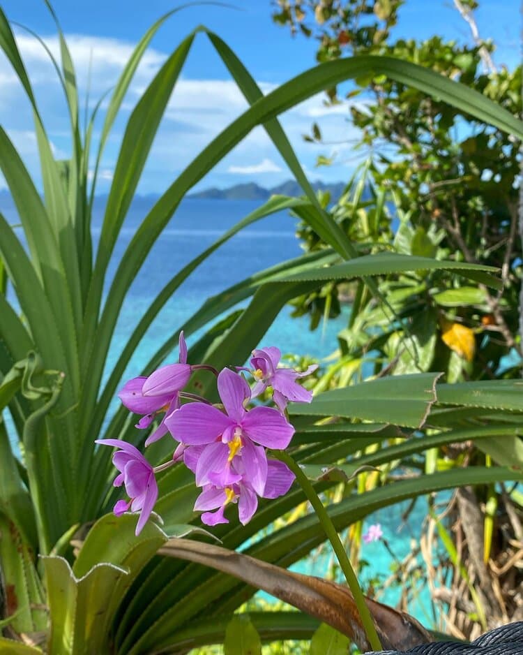 Misool Resort Raja Ampat 16