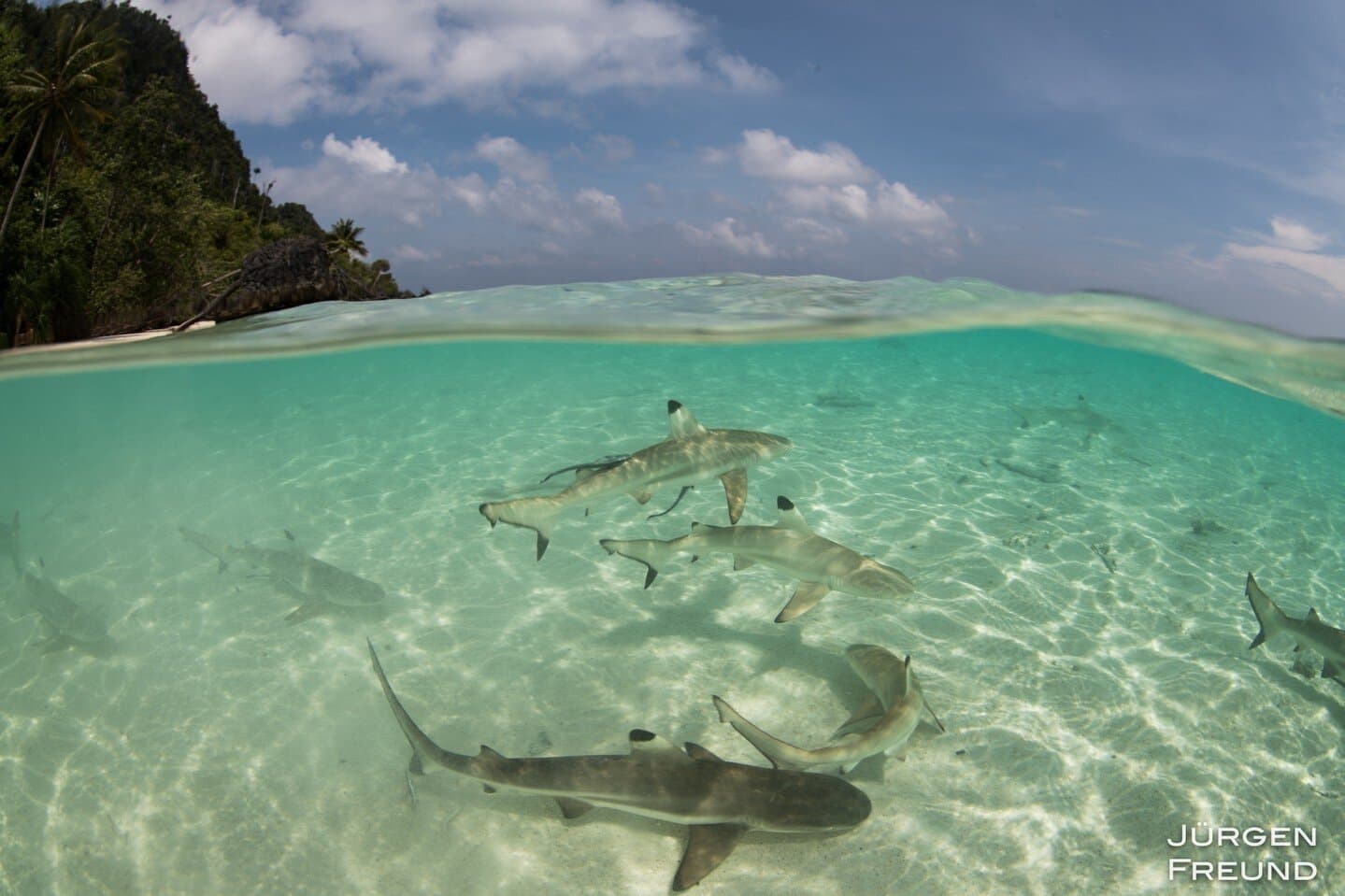 Misool Resort Raja Ampat 3