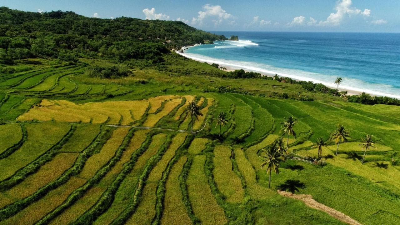 Nihi Sumba 18