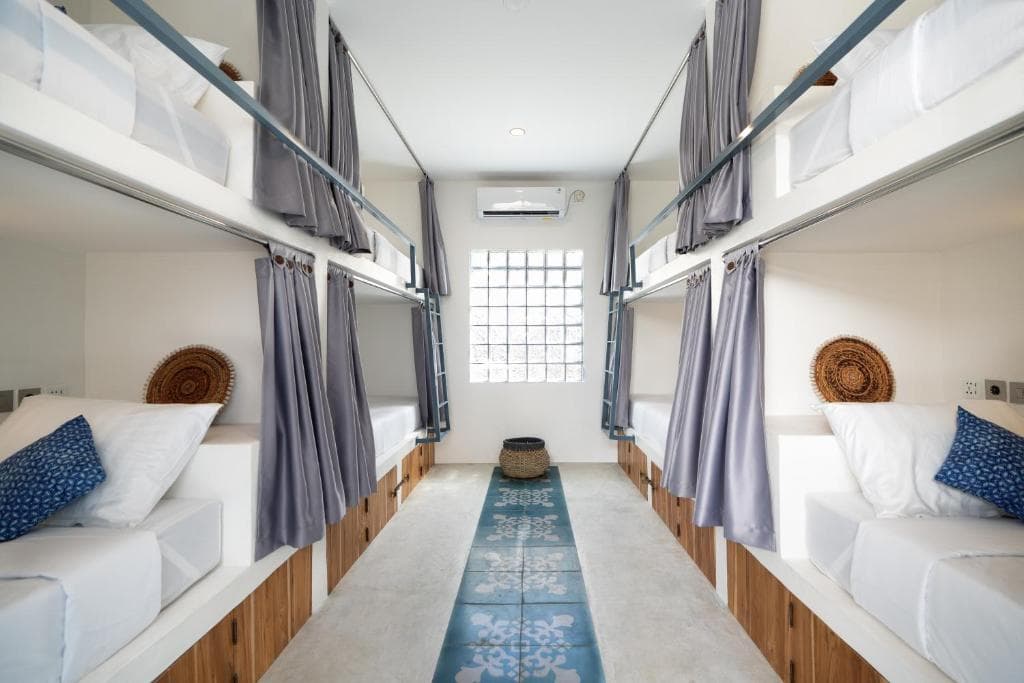 Seaesta Komodo 10