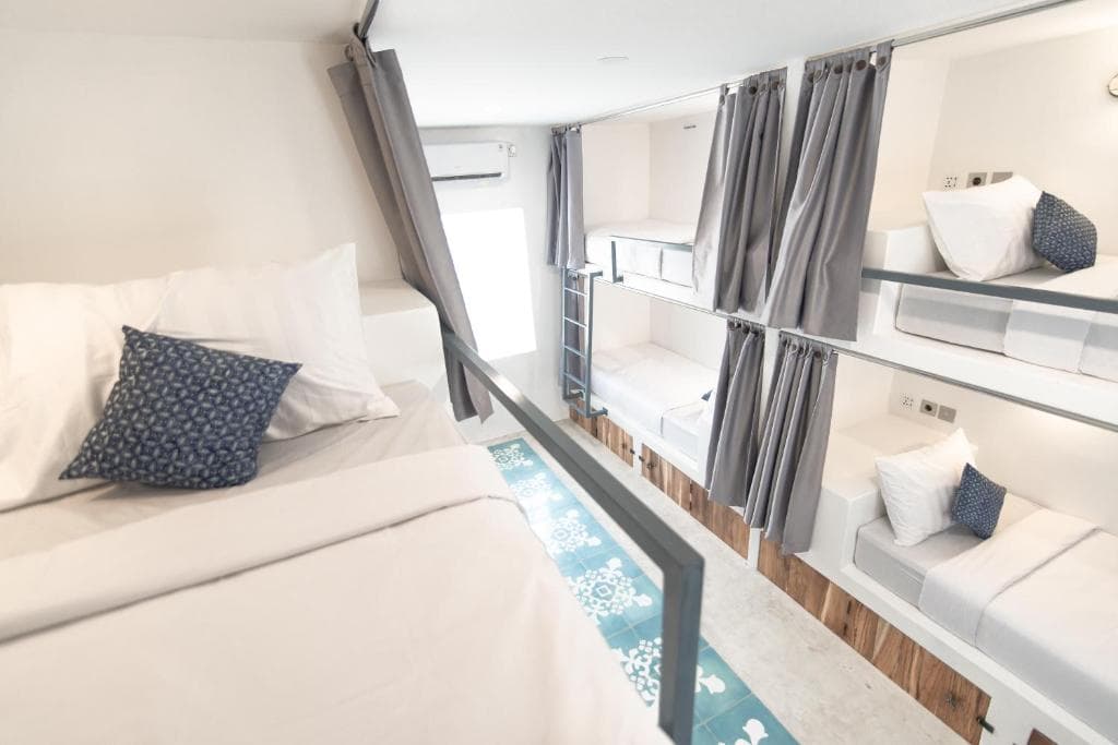 Seaesta Komodo 22