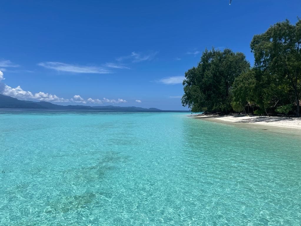 Wai Resort Raja Ampat 12