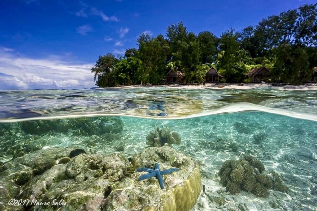 Wai Resort Raja Ampat 26