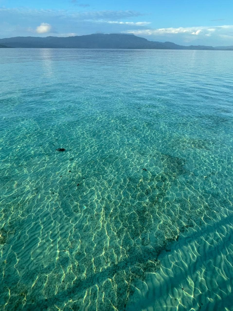 Wai Resort Raja Ampat 42