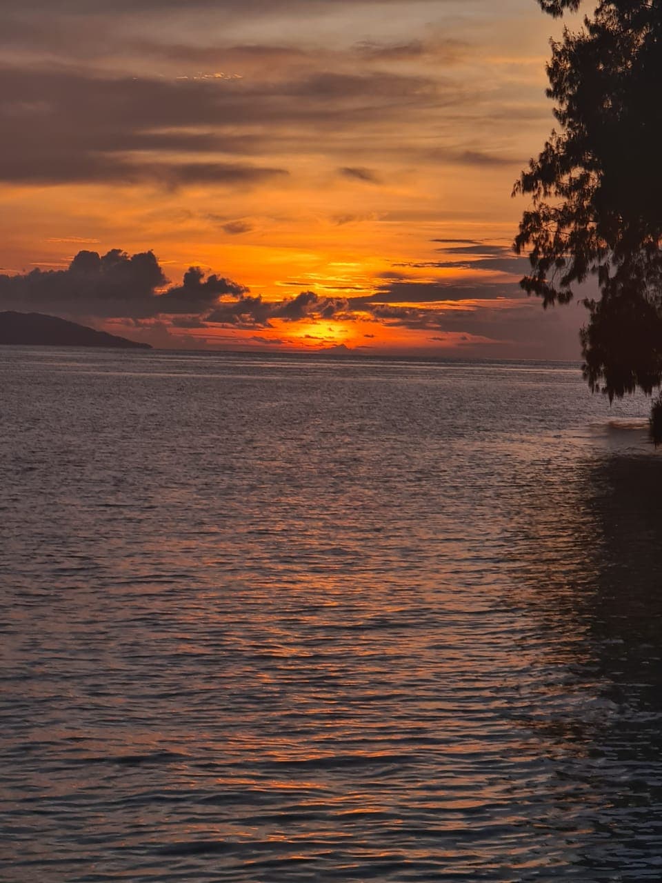 Wai Resort Raja Ampat 43