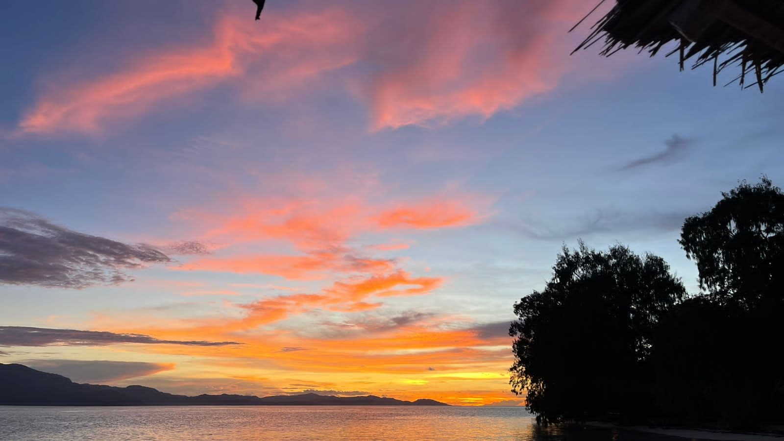 Wai Resort Raja Ampat 44