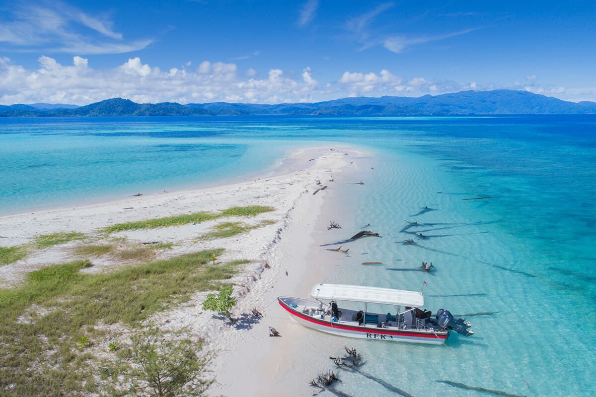 Papua Paradise Eco Resort 2