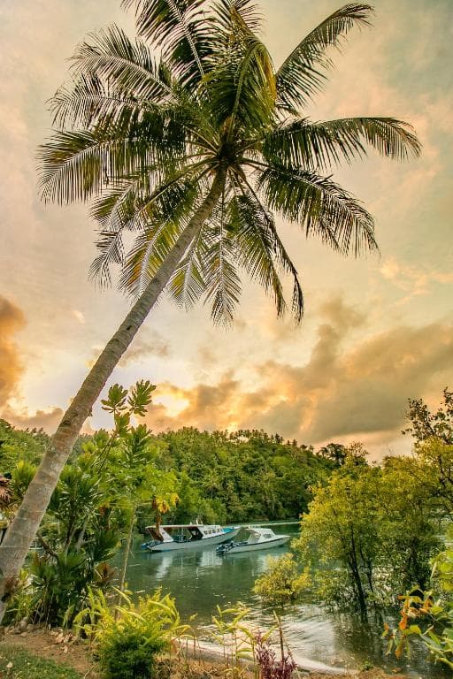 D’Lagoon Dive Resort 25