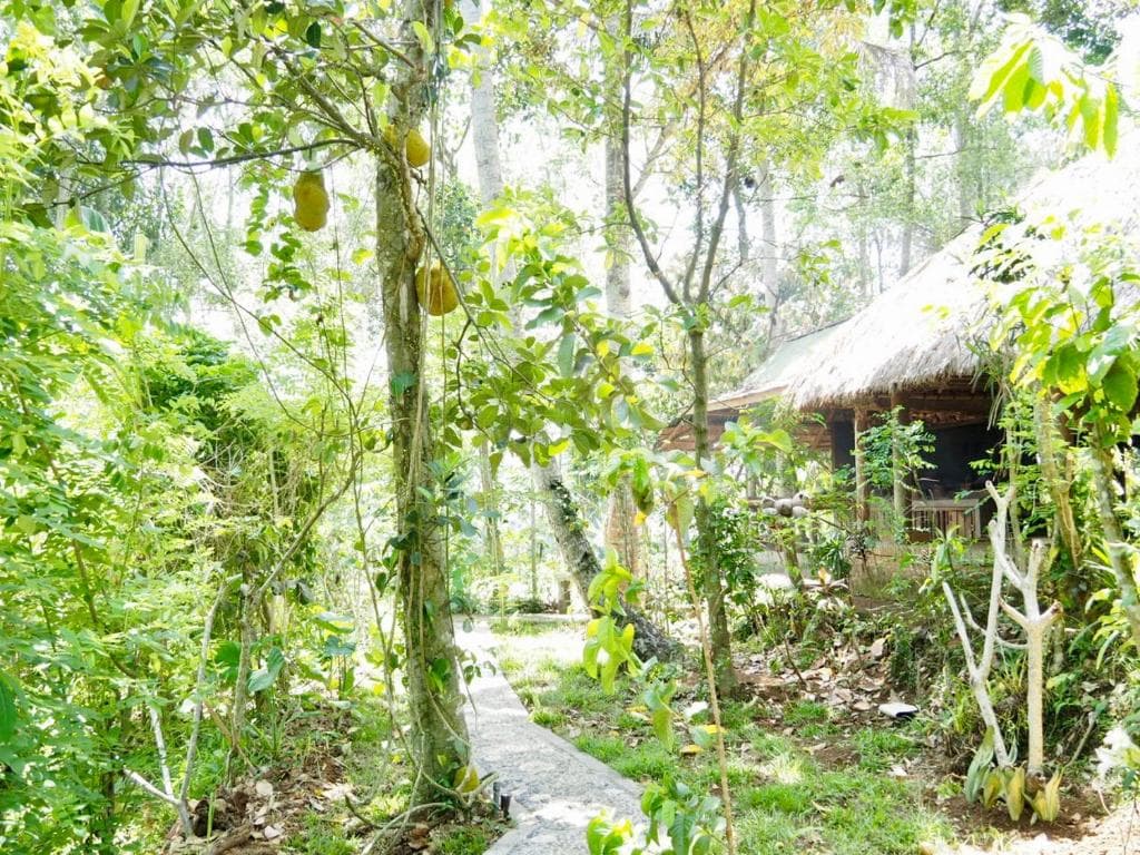 Green Vanilla Bungalow 17