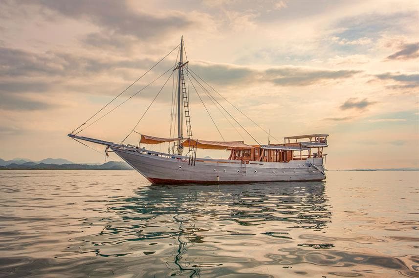 Nos croisières de plongée à petit budget préférées à Komodo