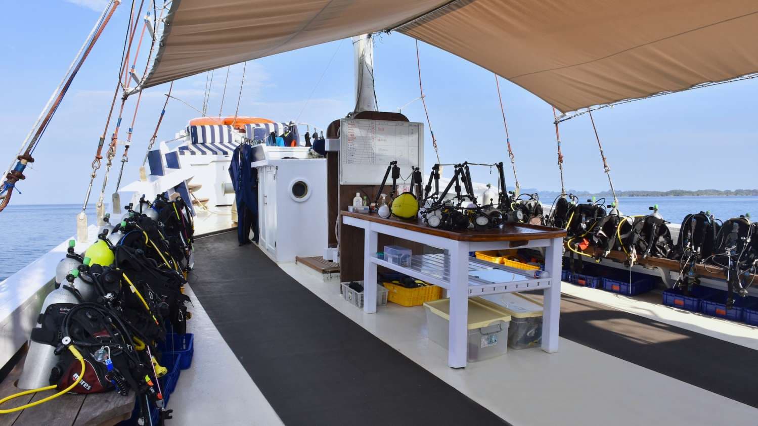 MSY Seahorse 25