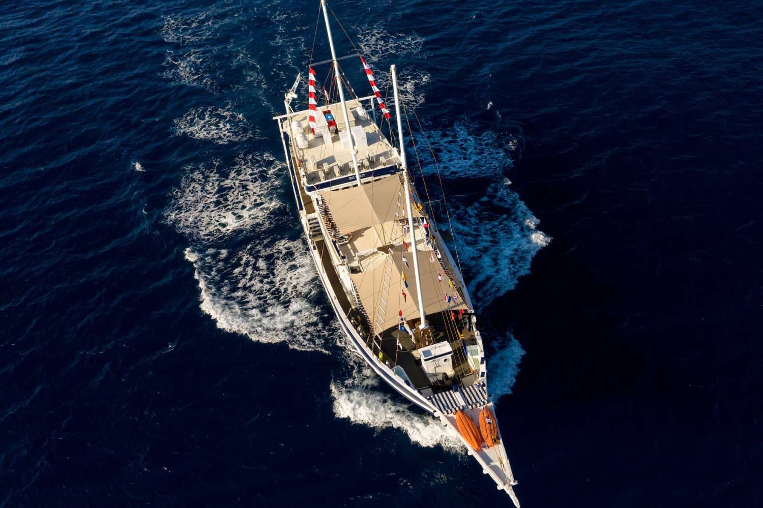 MSY Seahorse 36