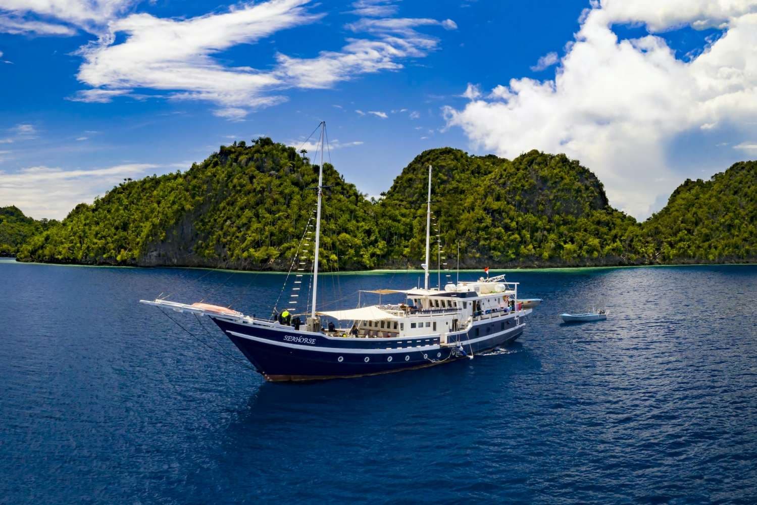 MSY Seahorse 7