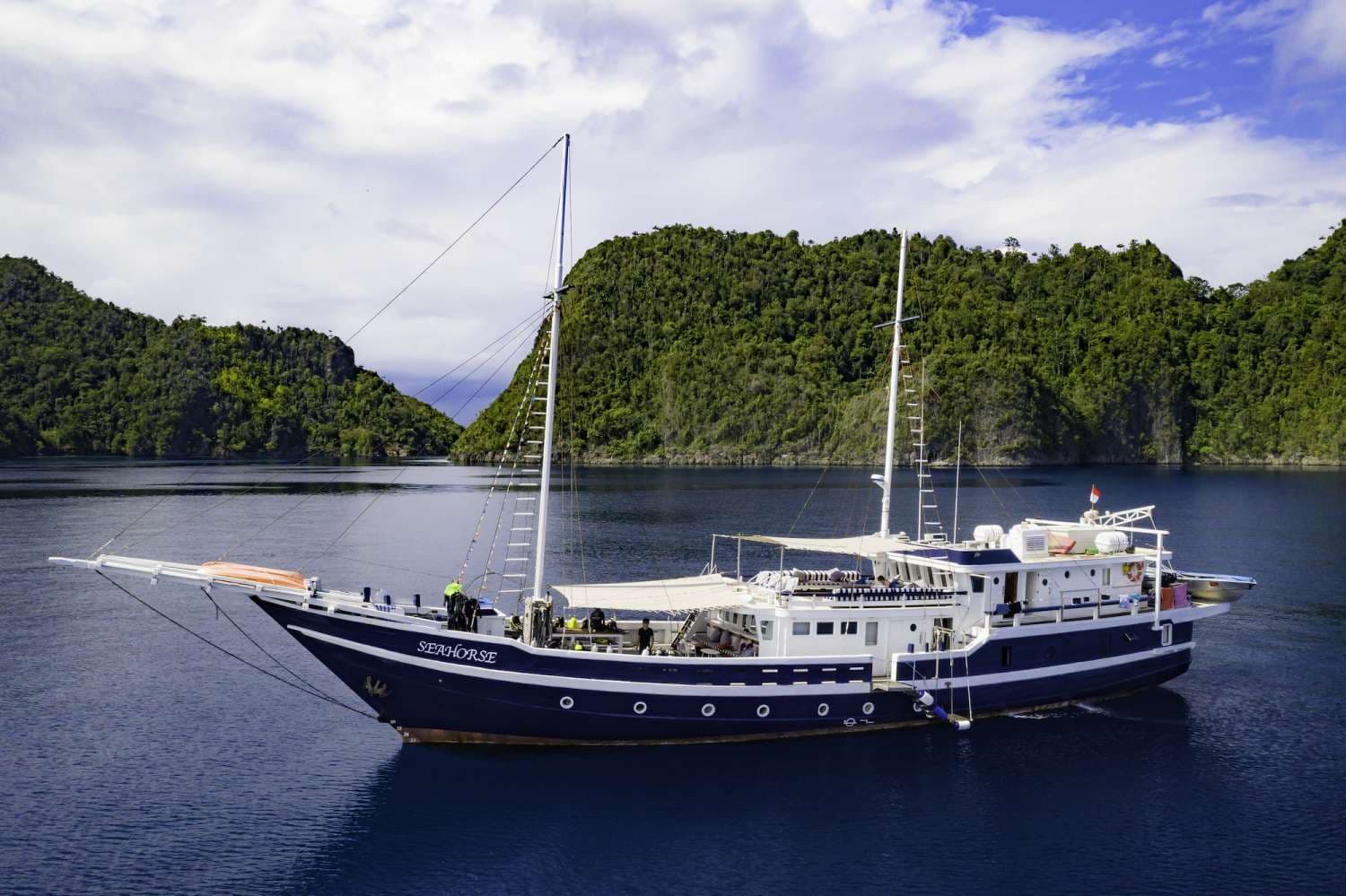 MSY Seahorse 32