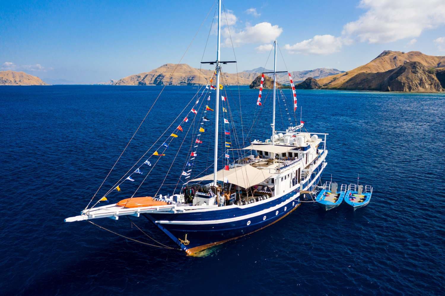 MSY Seahorse 5