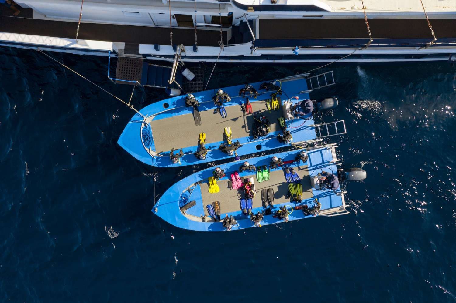 MSY Seahorse 30