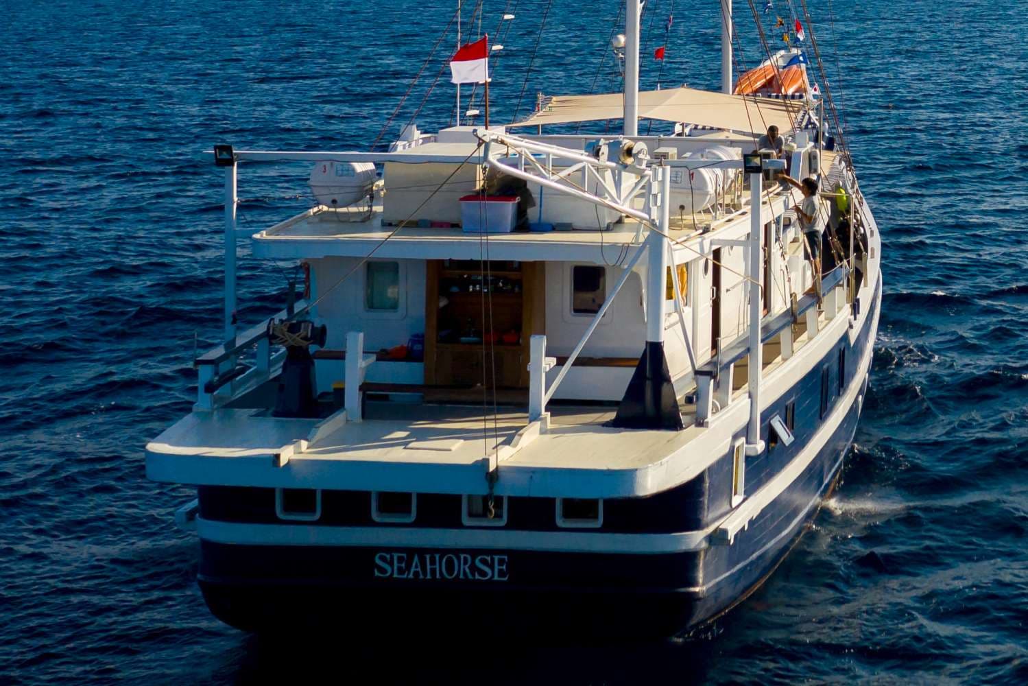 MSY Seahorse 35