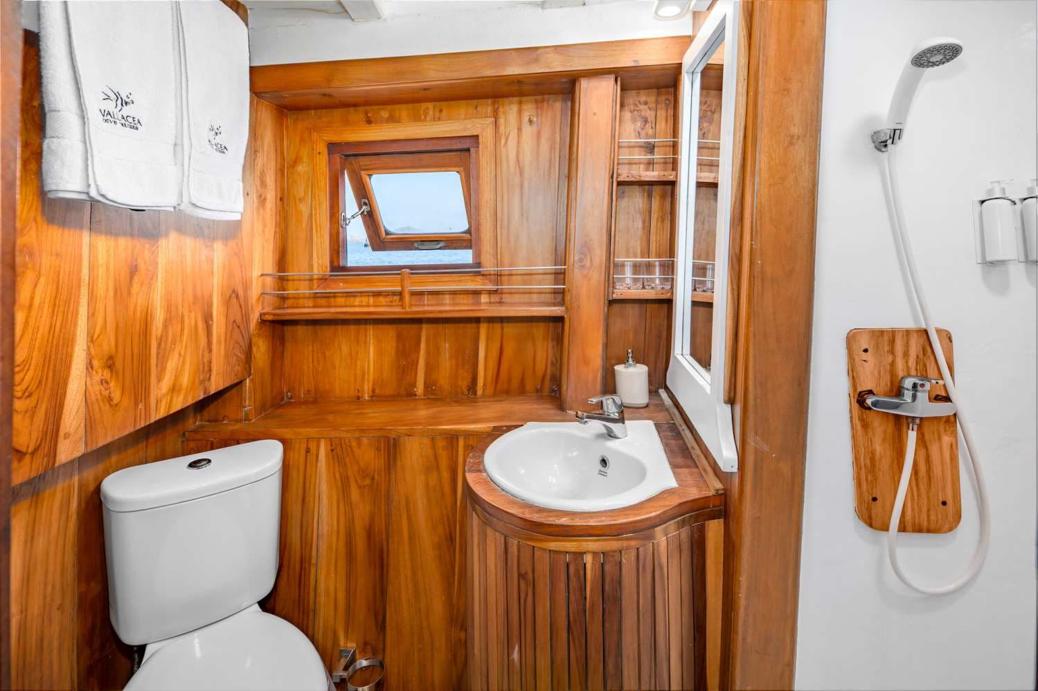 MSY Seahorse 11
