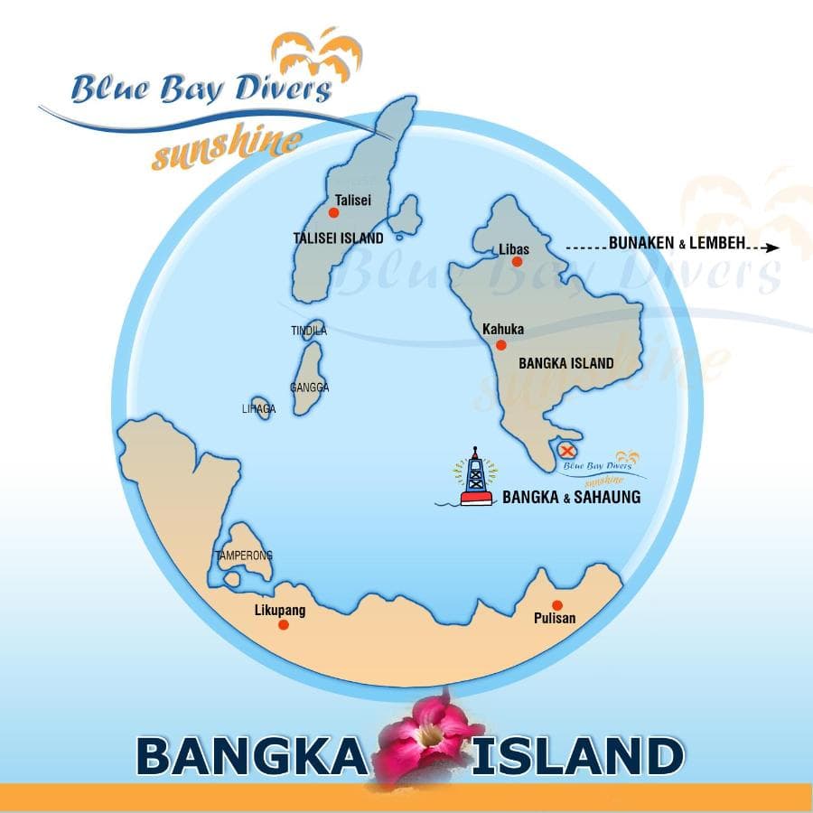 Blue Bay Divers Bangka 5