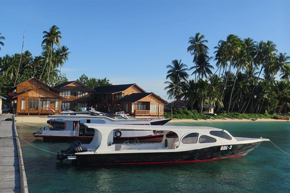 Derawan Dive Lodge 8