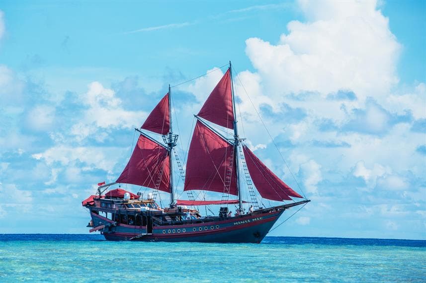 Manta Mae 1