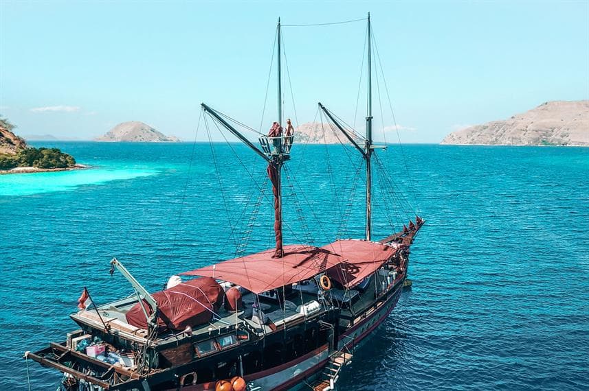 Manta Mae 41