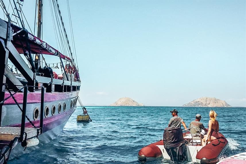 Manta Mae 28