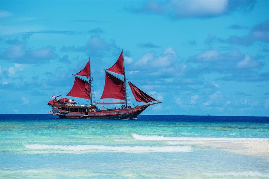 Manta Mae 39