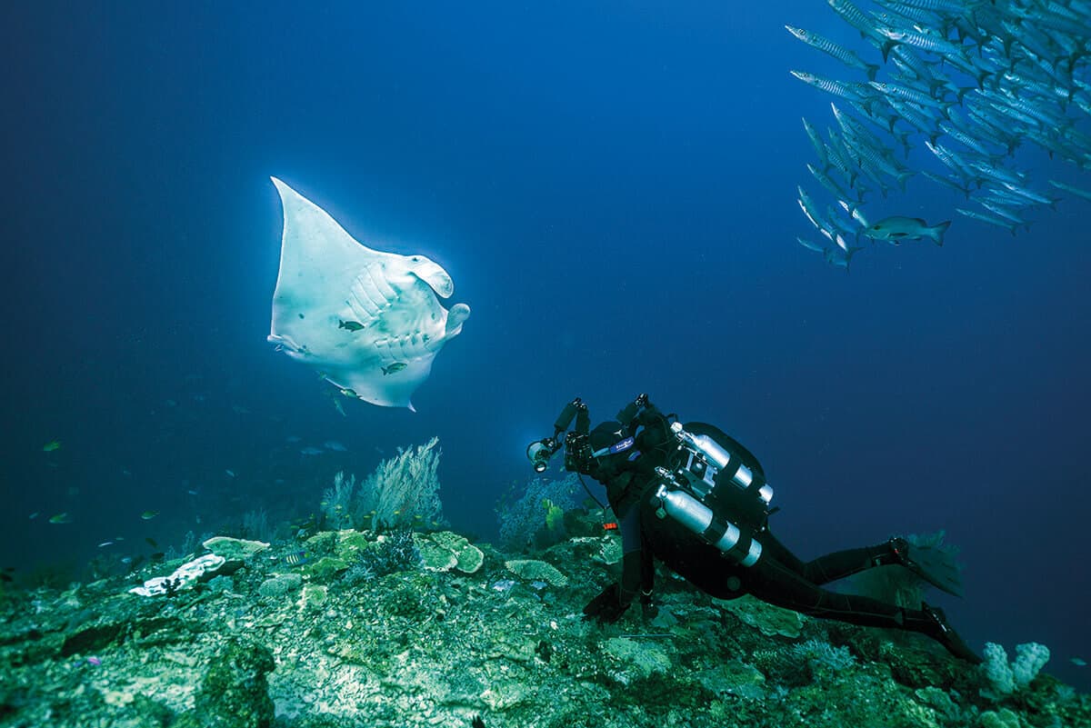 Nusa Penida Scuba Diving Day Trip From Bali