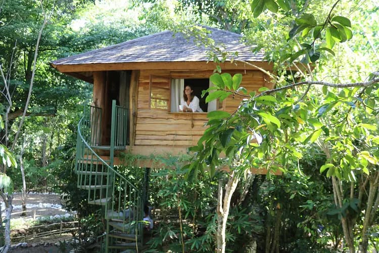 Roots Tree House 22