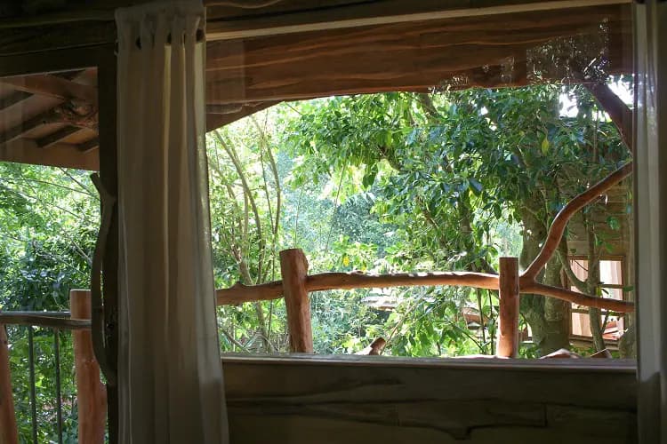 Roots Tree House 13