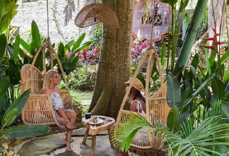 Roots Tree House 6