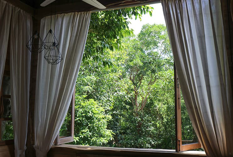 Roots Tree House 37