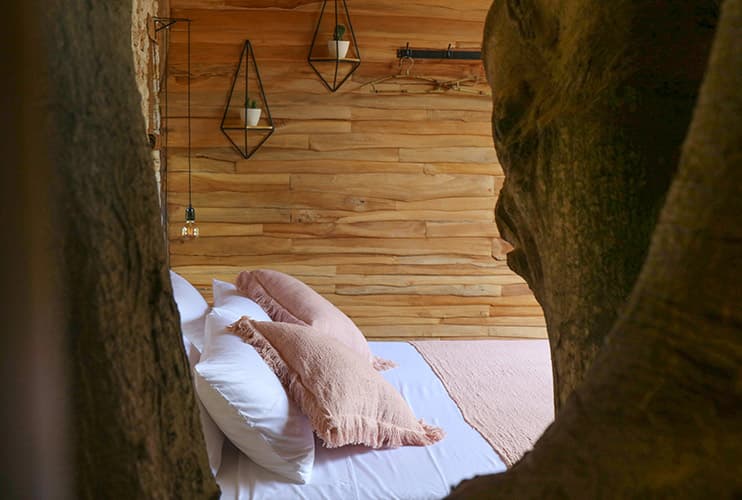 Roots Tree House 39