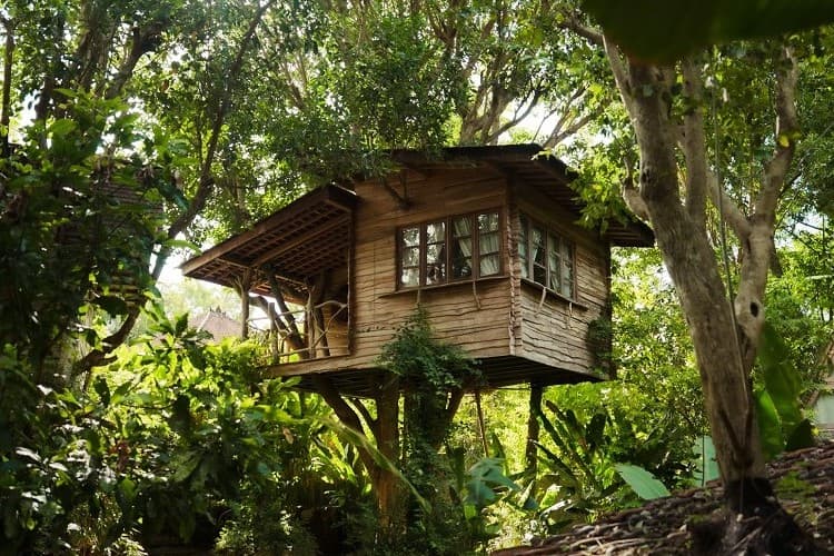 Roots Tree House 64