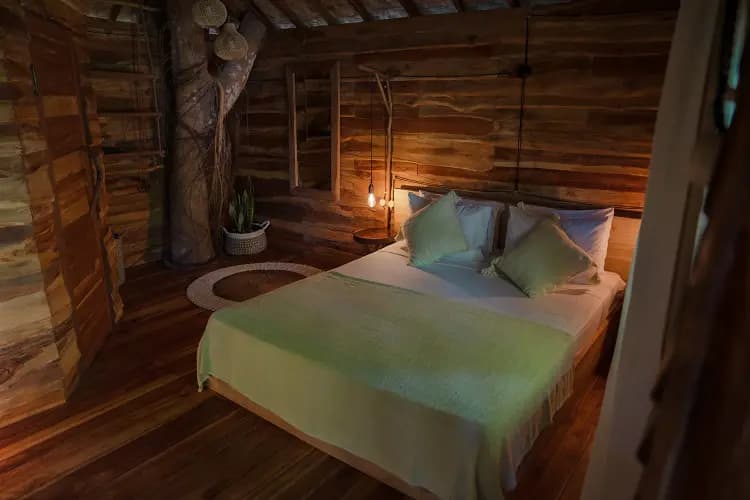 Roots Tree House 21