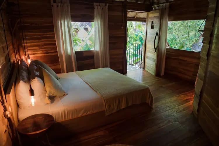 Roots Tree House 19
