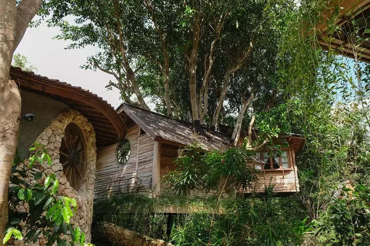 Roots Tree House 47