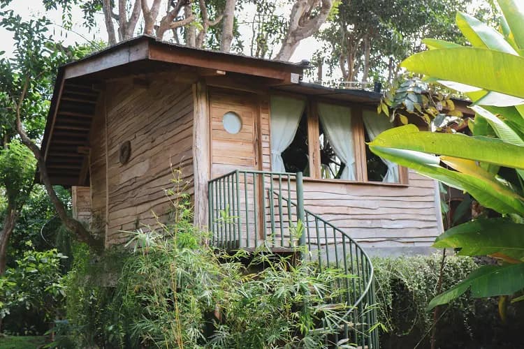 Roots Tree House 46