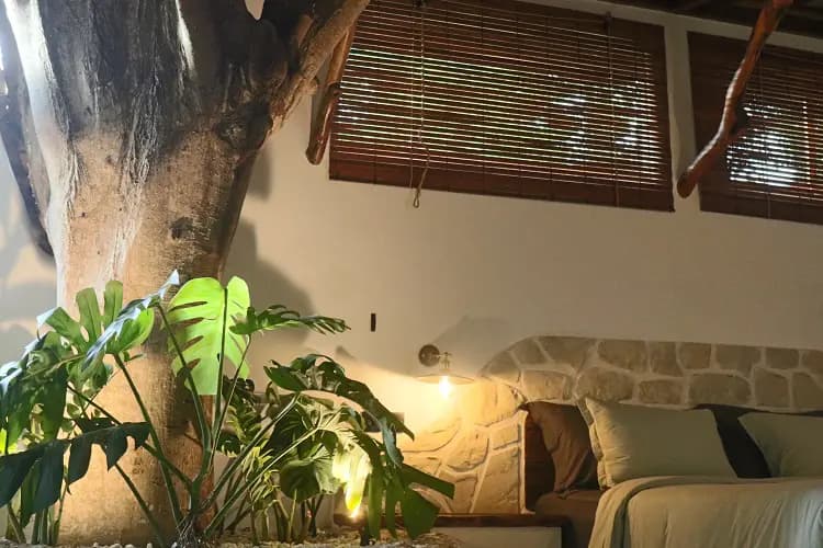 Roots Tree House 58