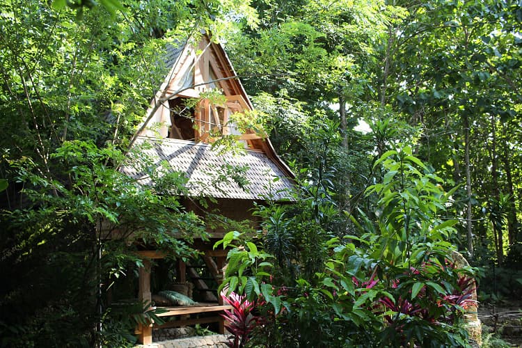Roots Tree House 32