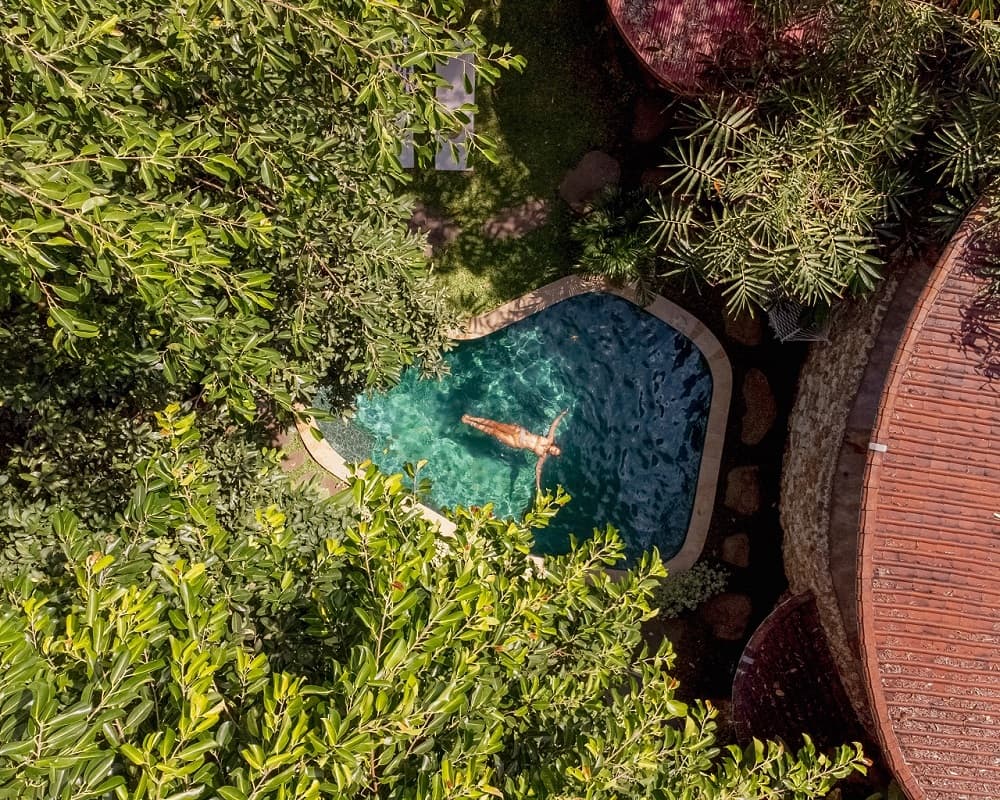 Roots Tree House 89