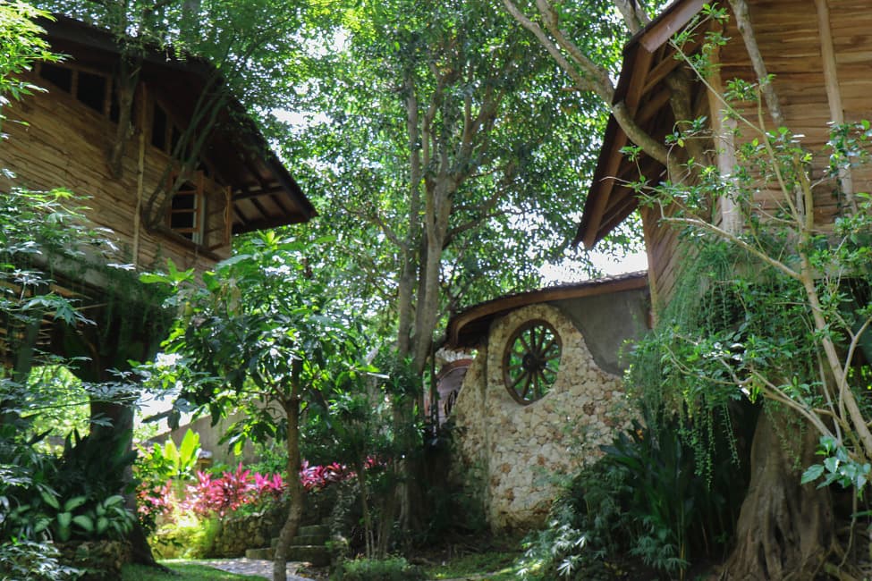 Roots Tree House 79