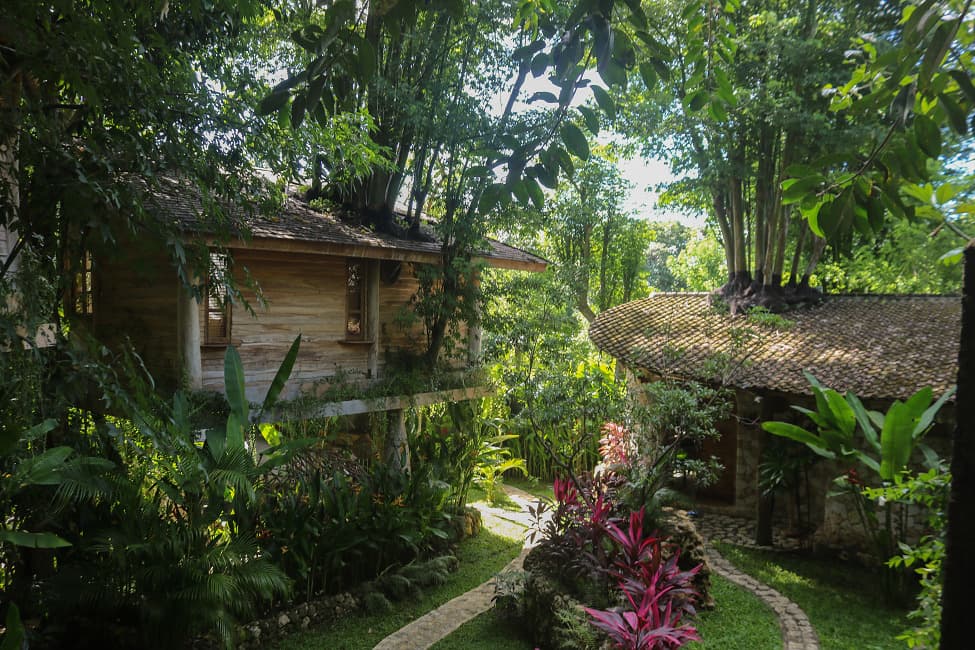 Roots Tree House 87