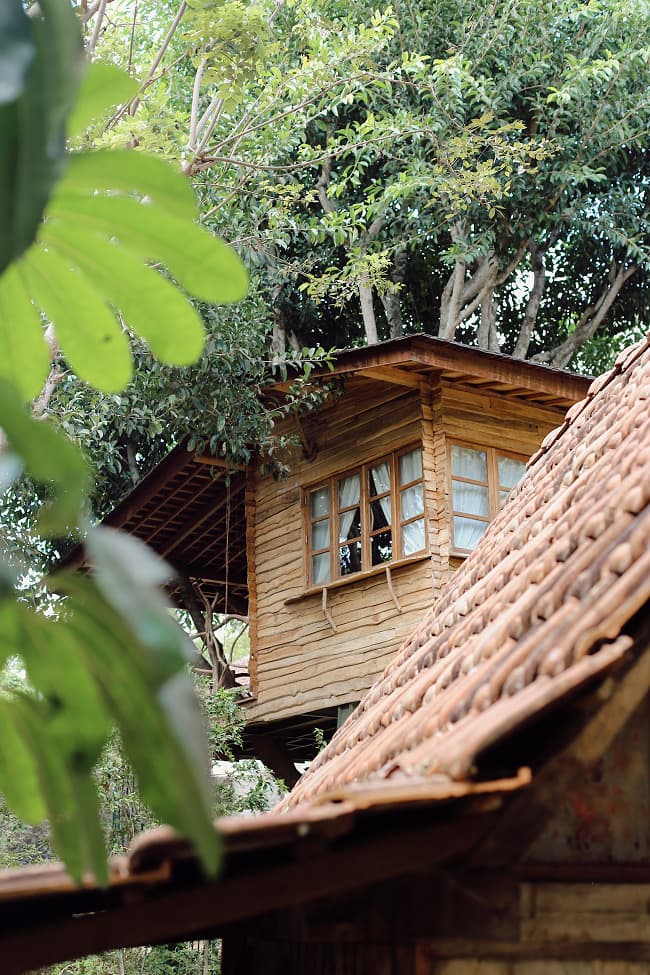 Roots Tree House 83