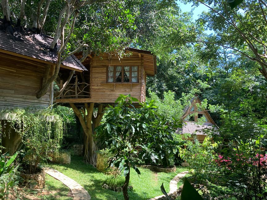 Roots Tree House 80