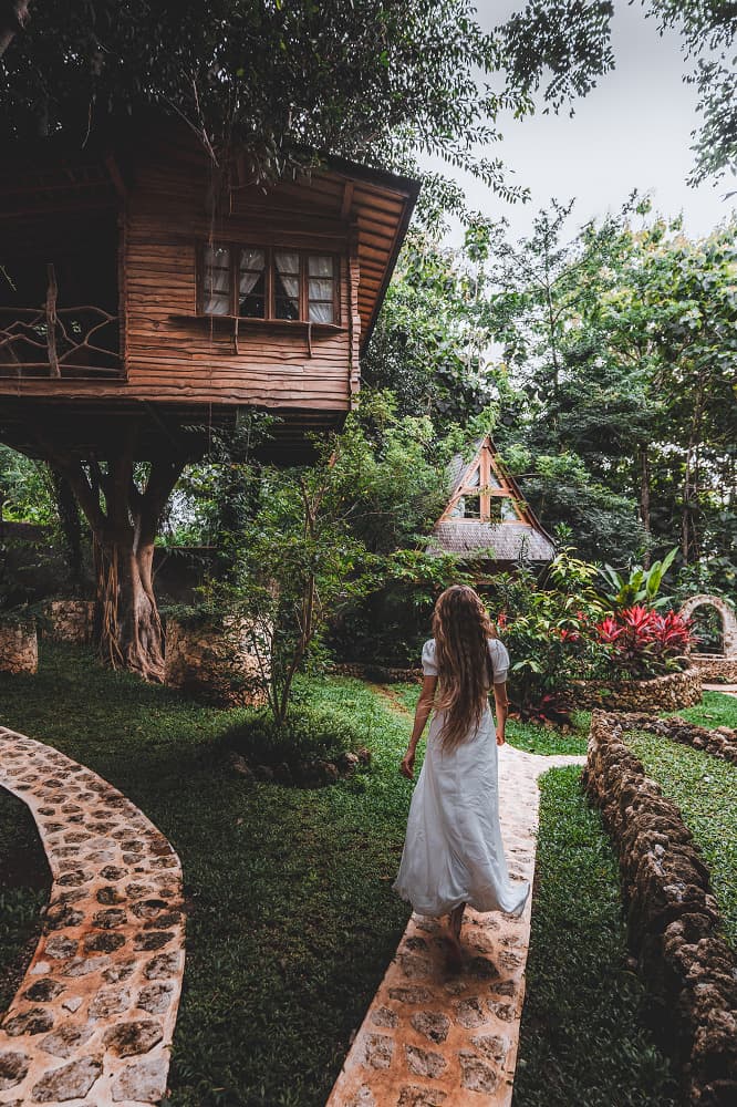 Roots Tree House 88